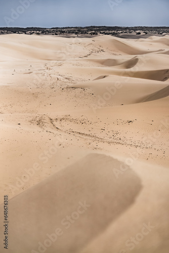 Sand dunes in the Senek desert in the Kazakh desert, sand texture in the desert photo