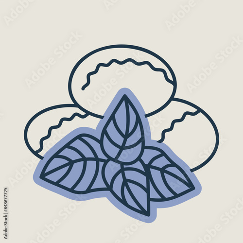 Mozzarella cheese with basil vector icon