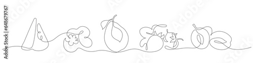 Linear illustration of simplified vector fruits and berries