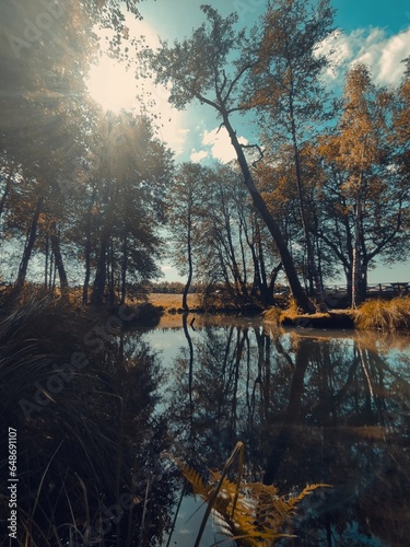 morning on the river