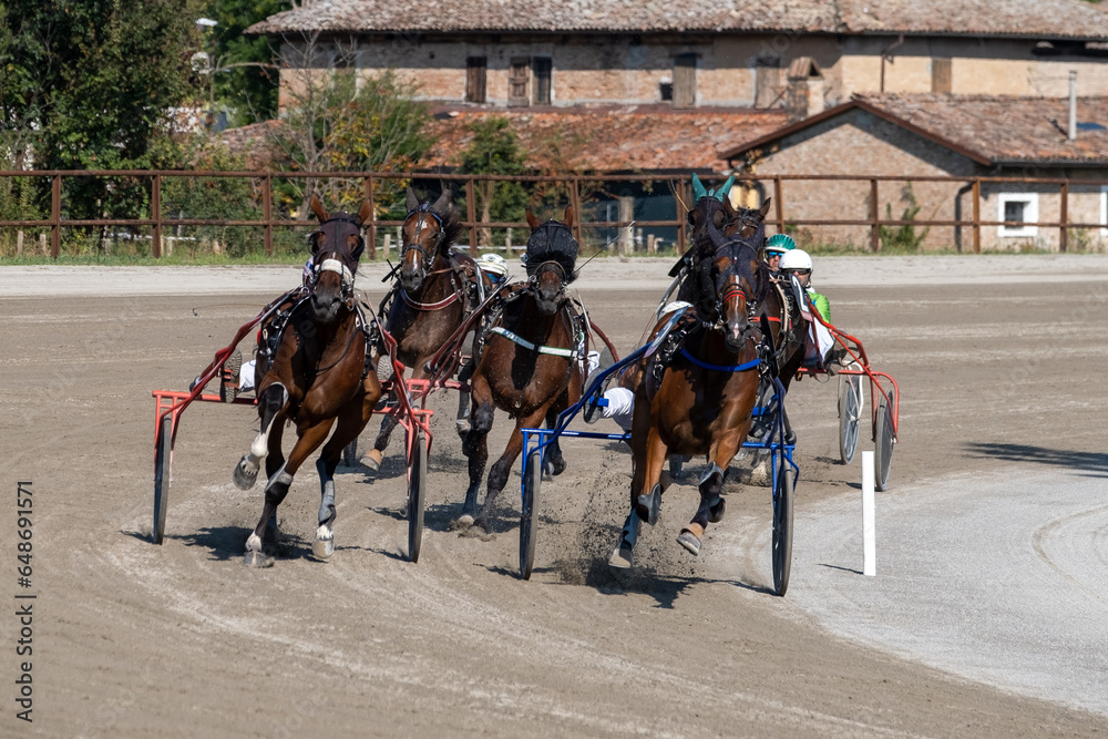 Racing horses trots and rider on a track of stadium. Competitions for trotting horse racing. Horses compete in harness racing. Horse runing at the track with rider.
Racing horses trots and rider on a track of stadium. Competitions for trotting horse racing. Horses compete in harness racing. Horse runing at the track with rider.