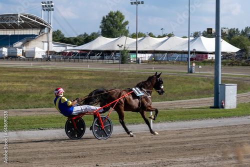 Racing horses trots and rider on a track of stadium. Competitions for trotting horse racing. Horses compete in harness racing. Horse runing at the track with rider. 