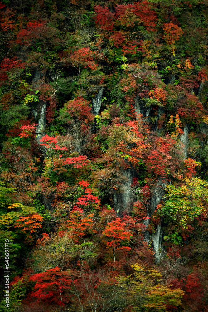 Autumn leaves in Japan, scenery of mountains in Nikko like a painting	