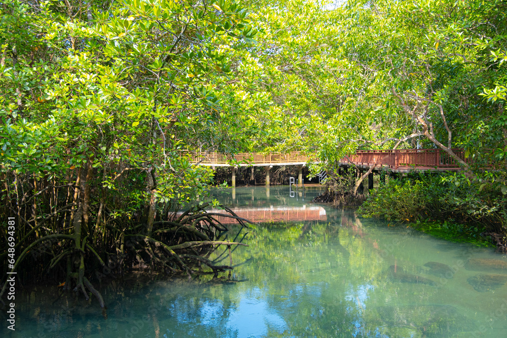 The bridge stretches across a large swamp in the forest. There is water filling up so you can see the reflection of the bridge. And you can also see rocks in the water. The bridge stretches across a large swamp in the forest. There is water filling up so you can see the reflection of the bridge. And you can also see rocks in the water.