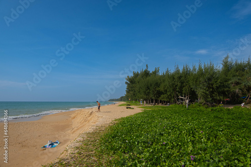 A beach with trees on the sand looks natural. And there is a blue sky that is pleasing to the eyes and relaxing to look at.