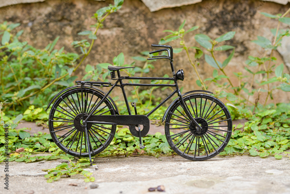 old bicycle in the garden