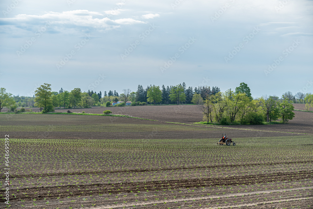 Farmers field.
