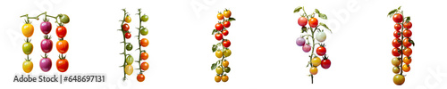 Png Set A group of ripe organic Grape tomatoes separated on a transparent background