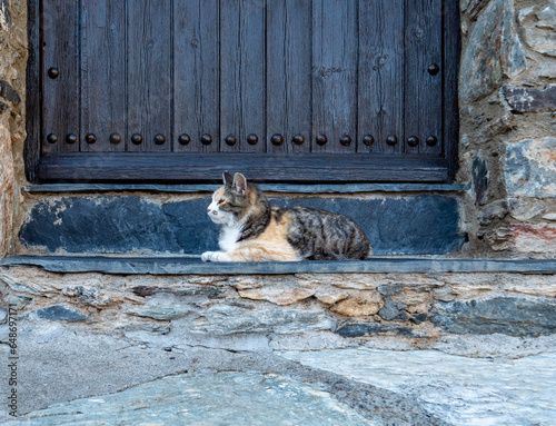 Gato tricolor descansando en el portal de una casa rural