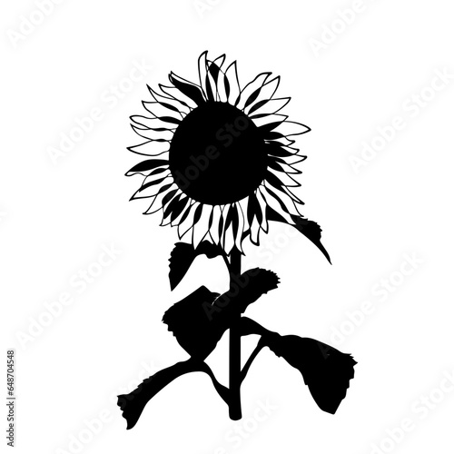 Flowers, Blossoms, Garden, Bouquet, Petals, Floral arrangement, Botanical, Pollination, Blooms, Fragrance