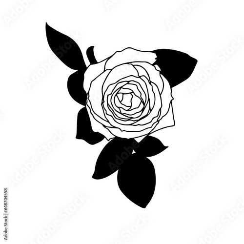 Flowers, Blossoms, Garden, Bouquet, Petals, Floral arrangement, Botanical, Pollination, Blooms, Fragrance