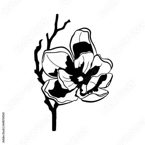 Flowers, Blossoms, Garden, Bouquet, Petals, Floral arrangement, Botanical, Pollination, Blooms, Fragrance