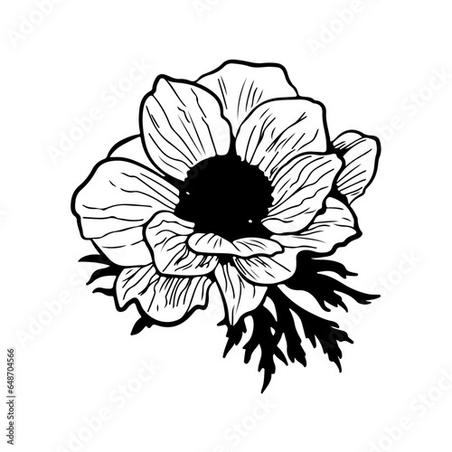 Flowers, Blossoms, Garden, Bouquet, Petals, Floral arrangement, Botanical, Pollination, Blooms, Fragrance