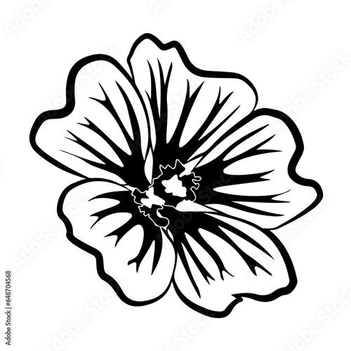 Flowers, Blossoms, Garden, Bouquet, Petals, Floral arrangement, Botanical, Pollination, Blooms, Fragrance