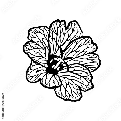 Flowers, Blossoms, Garden, Bouquet, Petals, Floral arrangement, Botanical, Pollination, Blooms, Fragrance