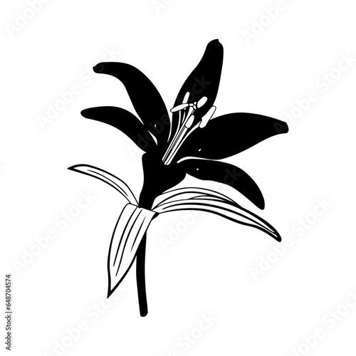 Flowers, Blossoms, Garden, Bouquet, Petals, Floral arrangement, Botanical, Pollination, Blooms, Fragrance