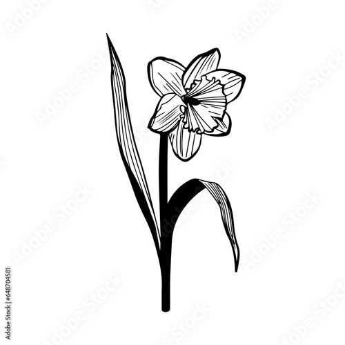 Flowers, Blossoms, Garden, Bouquet, Petals, Floral arrangement, Botanical, Pollination, Blooms, Fragrance