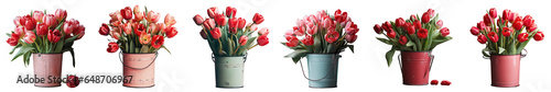 Wallpaper Mural Png Set Close up of red tulips in metal bucket isolated on a transparent background Torontodigital.ca