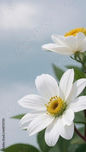 Exquisite Macro Shots of Flowers