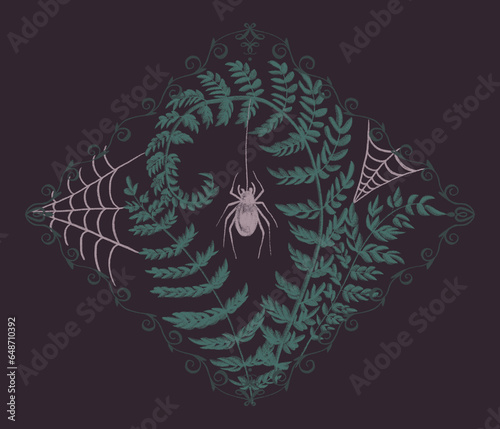 Hand drawn textured illustration with gothic aesthetic with spider, fern and web. Vintage boho art with mystical atmosphere in pink and green colors. (ID: 648710392)