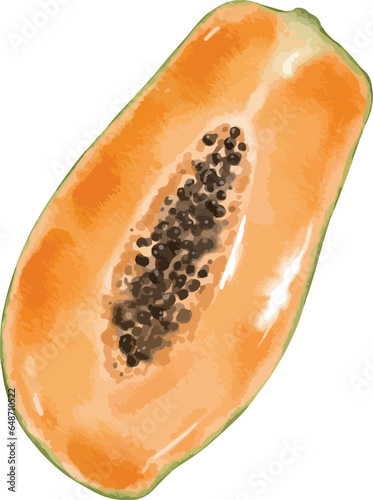 papaya fruit   watercolor illustration isolated element