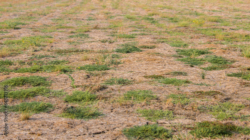 Dried Soil