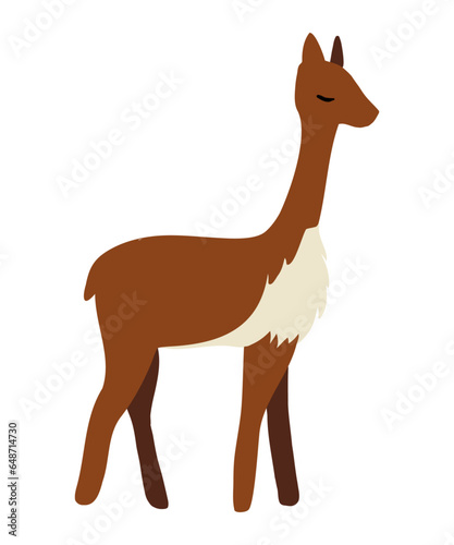 Cute vicuna vector illustration