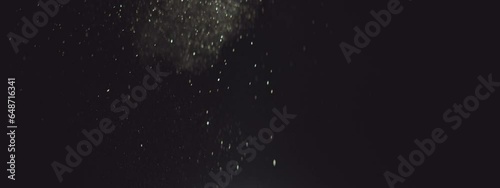 Slow Motion Of Natural Organic Dust Particles photo