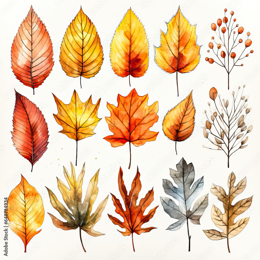 Autumn Leaves: A Colorful Collection