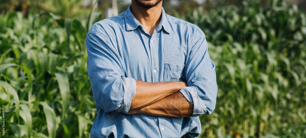 Fototapeta premium Agriculturist utilize the core data network in the Internet from the mobile to validate, test, and select the new crop method. Young farmers and tobacco farming