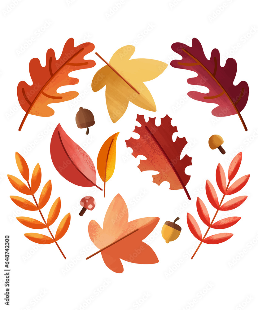 Obraz premium Vector flat design autumn leaves set