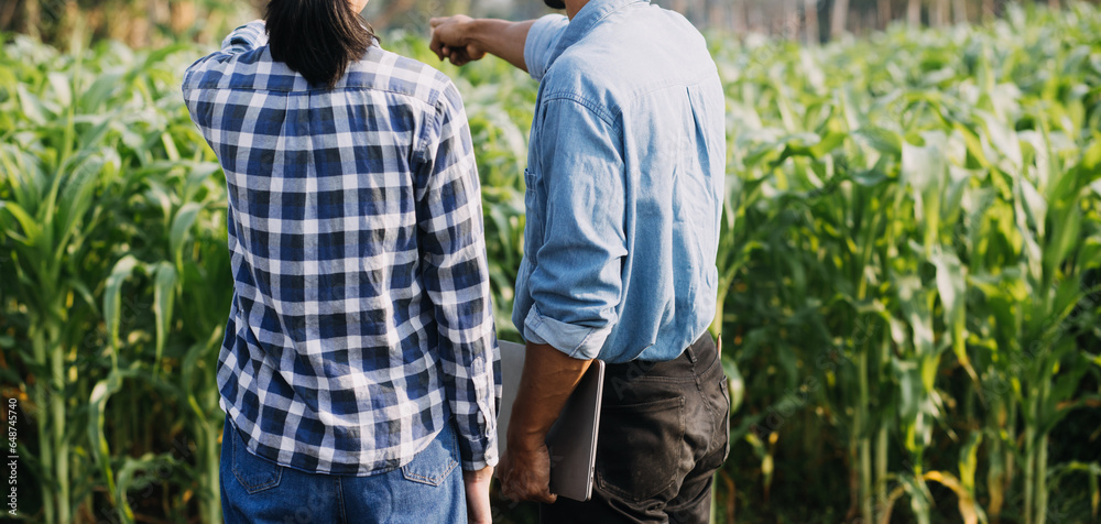 Agriculturist utilize the core data network in the Internet from the mobile to validate, test, and select the new crop method. Young farmers and tobacco farming Agriculturist utilize the core data network in the Internet from the mobile to validate, test, and select the new crop method. Young farmers and tobacco farming
