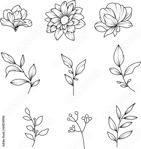 Vector collection of hand drawn plants. Botanical set of sketch flowers and branches.