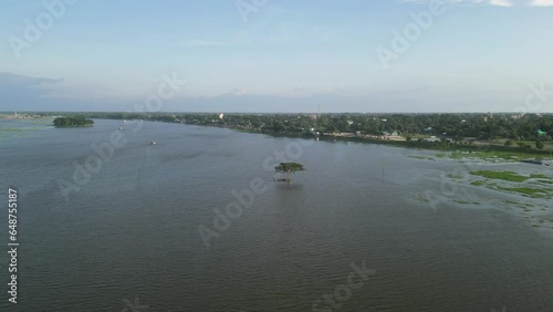 Aerial drone shot of a river, a tree standing alone in the middle of the water, a tree standing in the middle of Titas river in Brahmanbaria, Titas river full of water during monsoon season photo