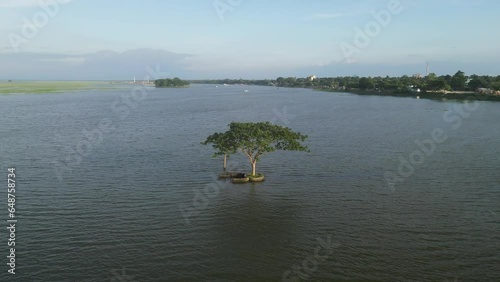 A drone shot from above a river, a tree in the water around it, the drone hovering over a tree standing in the middle of the river, a small river full of monsoon water photo