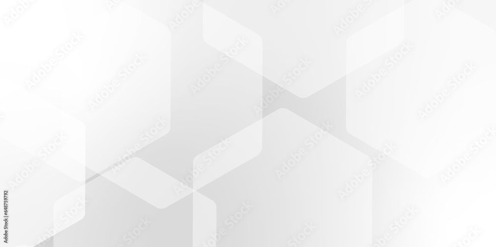 Fototapeta premium Abstract trendy technology of gradient white and gray hexagonal element pattern artwork design background. Use for ad, poster, presentation, print, artwork.