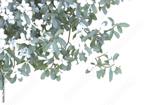 Various types of tree branch plants bushes shrub and grass © Poprock3d