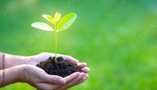 Hand holding a tree on blurred green nature background, Planting ideas and Earth Day.