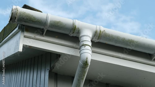 Swarm of wasps and a nest inside a roof and drain pipe on a house in summer