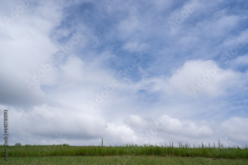 利根川の土手沿いに湧き上がる、初夏の雲(茨城県, 猿島郡, 五霞町)