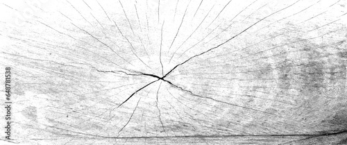 Black white and gray piece of large wood tree stump with a transparent background, old cracked wood, wooden planks.