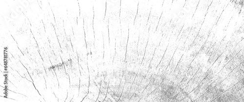 Black white and gray piece of large wood tree stump with a transparent background, old cracked wood, wooden planks.