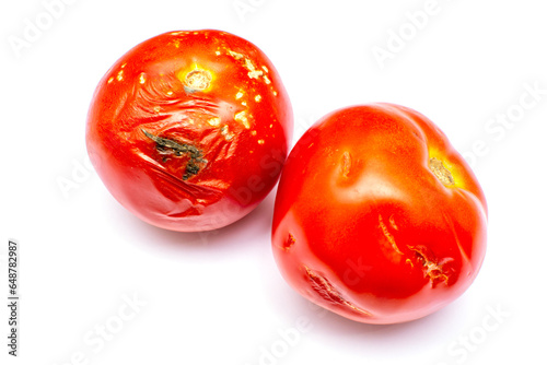 Spoiled tomatoes covered with mold on an isolated white background