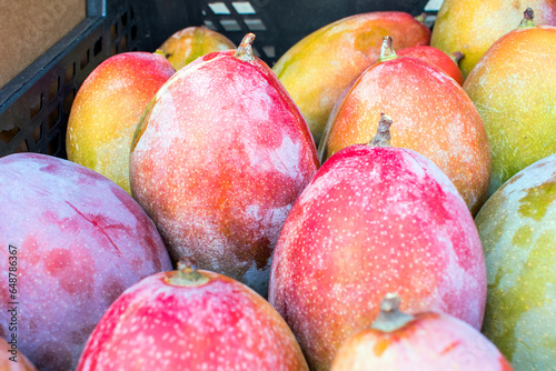 Spanish Mango: A Taste of Paradise.