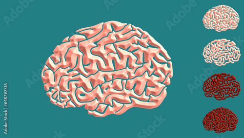 human brain 3d vector