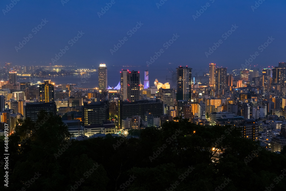 Obraz premium 兵庫県神戸市 ビーナステラスから見る神戸市の夜景