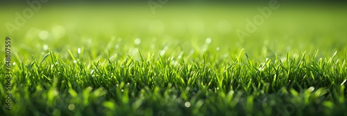 Wide format background image of green carpet of neatly trimmed grass. Beautiful grass texture on bright green mowed lawn, grassplot in nature. generative AI