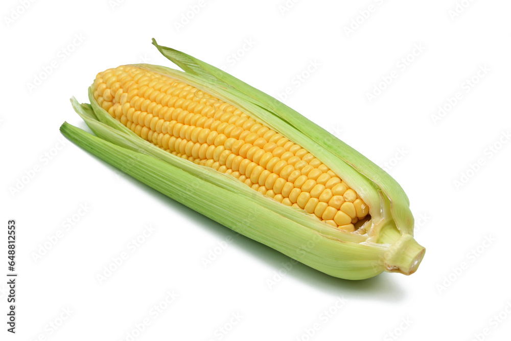 ripe sweet corn with leaves object isolated on white background ripe sweet corn with leaves object isolated on white background