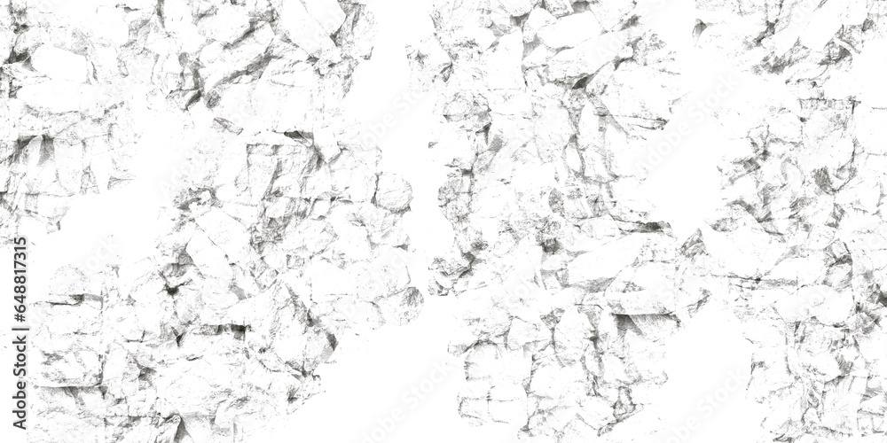 Fototapeta premium White background with delicate black patterns resembling soft stone marbling.