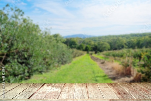 Wooden planks against orchard and blue sky background.